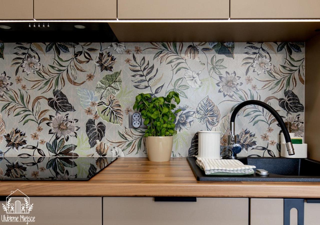 Ulubione Miejsce Zator Apartment ภายนอก รูปภาพ
